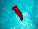2009-09-09 14-55-59S